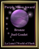 Purple Moon Award--Bronze Award