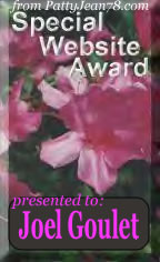 Special Website Award from PattyJean78.com