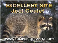 Simple Survival Excellent Site Award