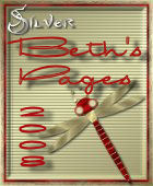 Beth's Pages Silver Award