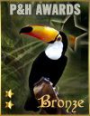 P & H Bronze Award