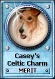 Casey's Celtic Charm Merit Award