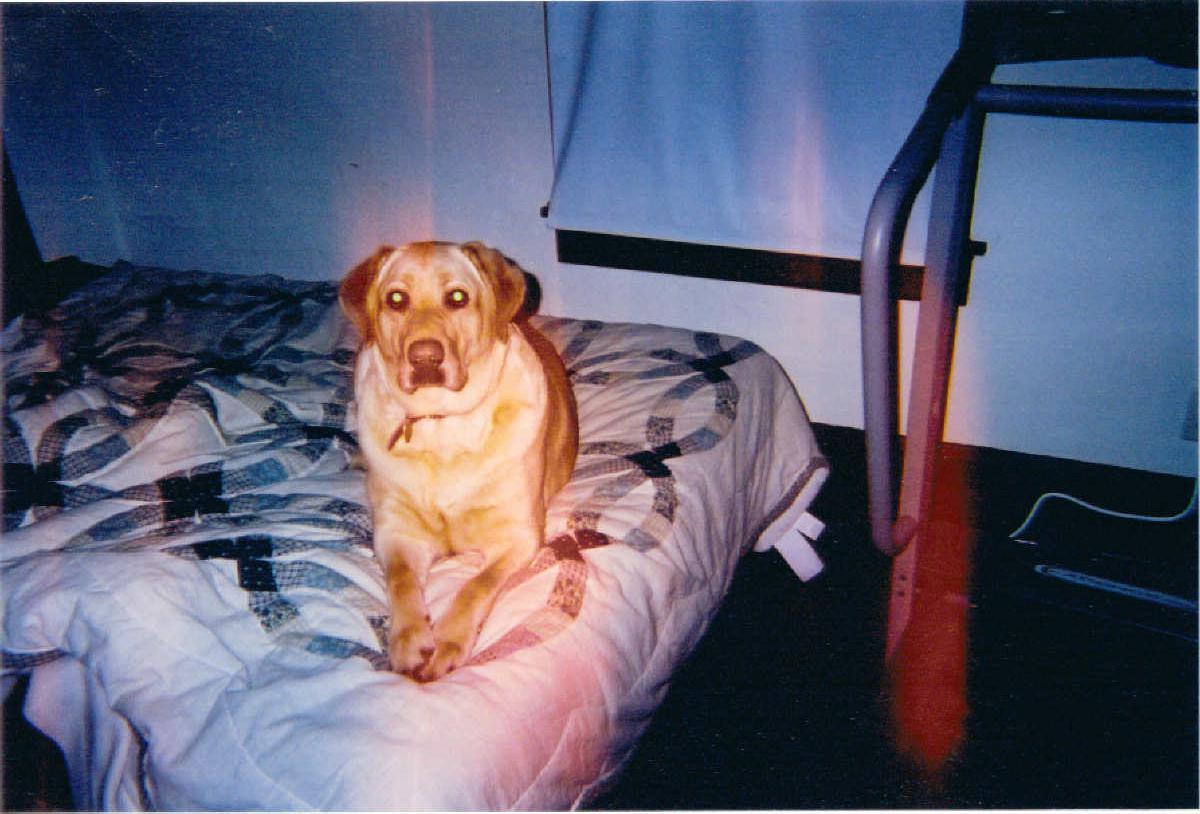 Nube lying on my bed--he likes to do this the best