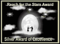 Reach for the Stars Award Silver Award Of Excellence