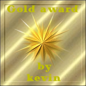 Kevin's Gold Award