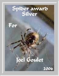 Silver Spider Award For Joel Goulet from Anti-Spinnen.walweb.nl
