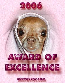 2006 Award Of Excellence from MeetGypsy.com